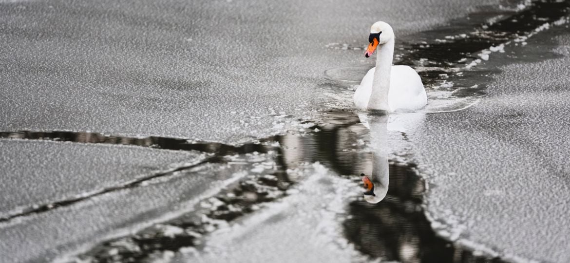 Sneeuwfoto met sterke contrasten en kleuraccenten