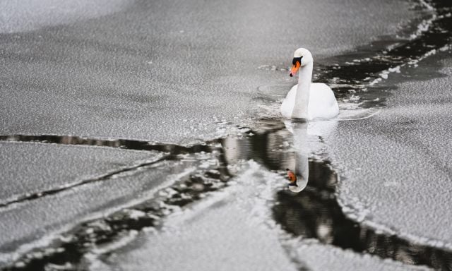 Sneeuwfoto met sterke contrasten en kleuraccenten