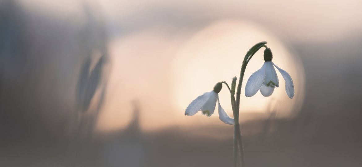 Lokale plek waar een fotograaf regelmatig terugkomt