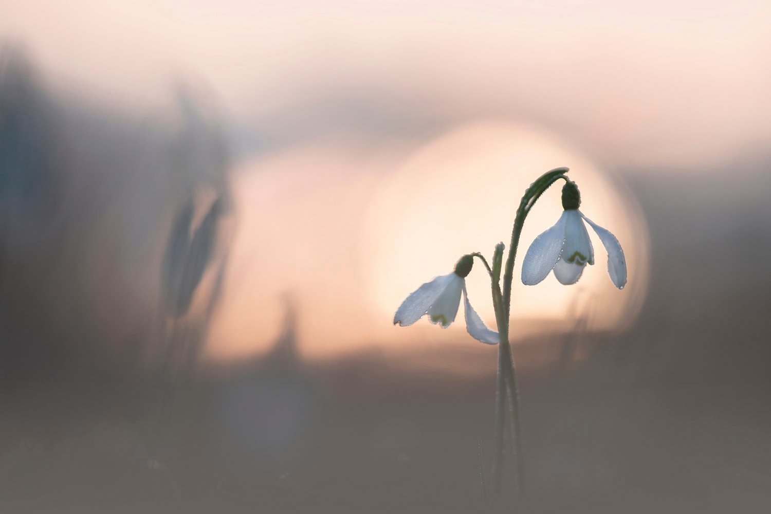 Lokale plek waar een fotograaf regelmatig terugkomt