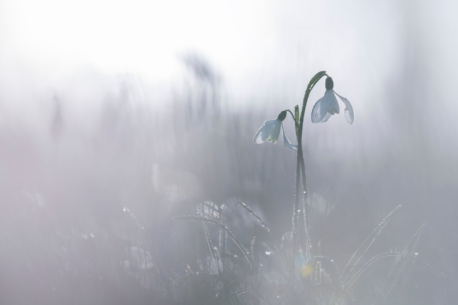 Rustige lokale plek om natuurfoto’s te maken