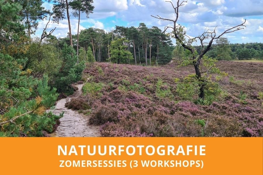 Uitgelichte Afbeelding