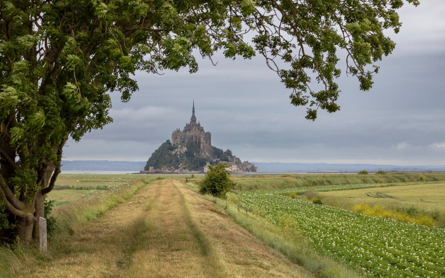 Reisverslag: Ervaring fotoreis Mont Saint-Michel