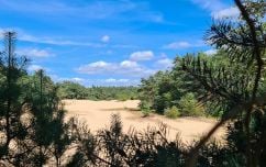 Zomer workshops natuurfotografie