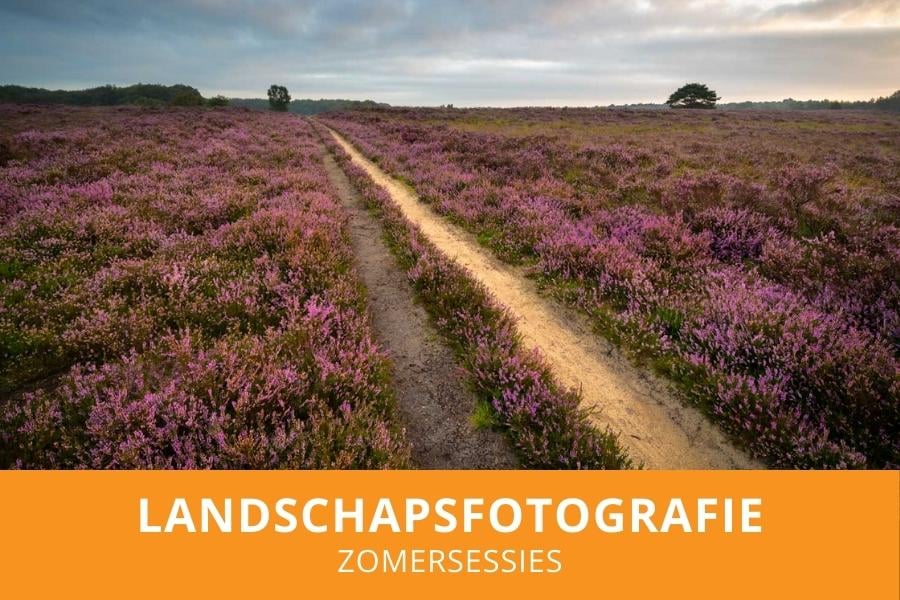 Volg meerdere workshops deze zomer