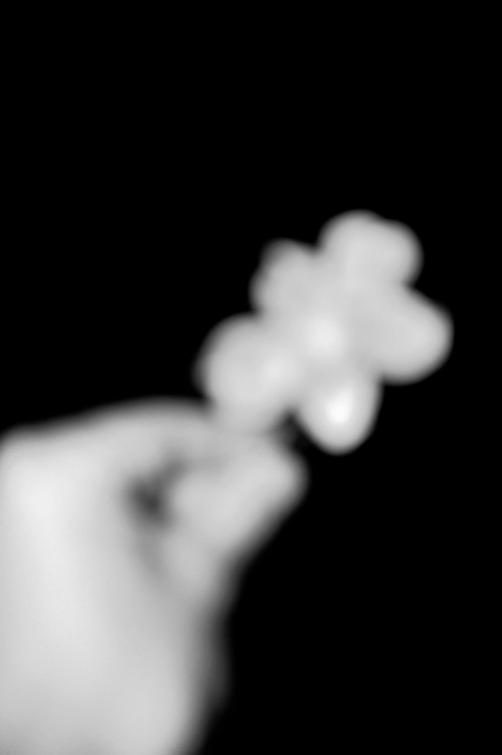 Foto waarbij onscherpte bewust als beeldtaal wordt gebruikt