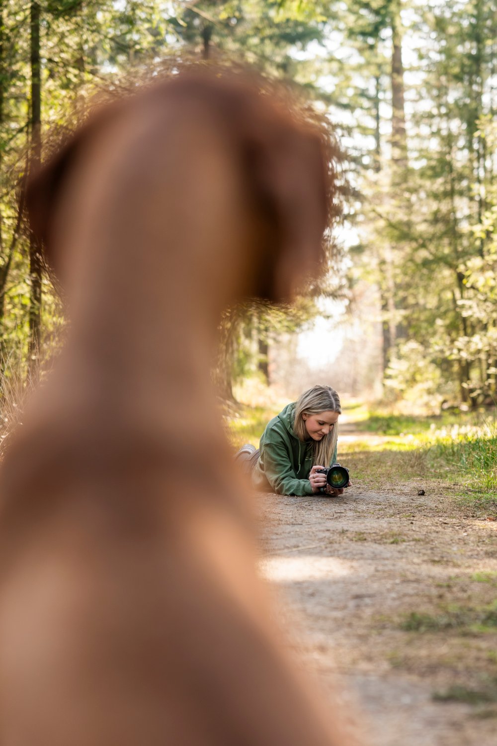 Fotograaf observeert een dier rustig voordat de fotoshoot begint