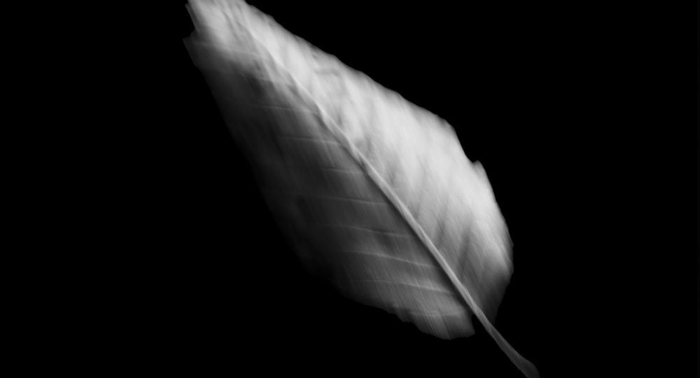 Artistieke foto met imperfecties zoals beweging en licht