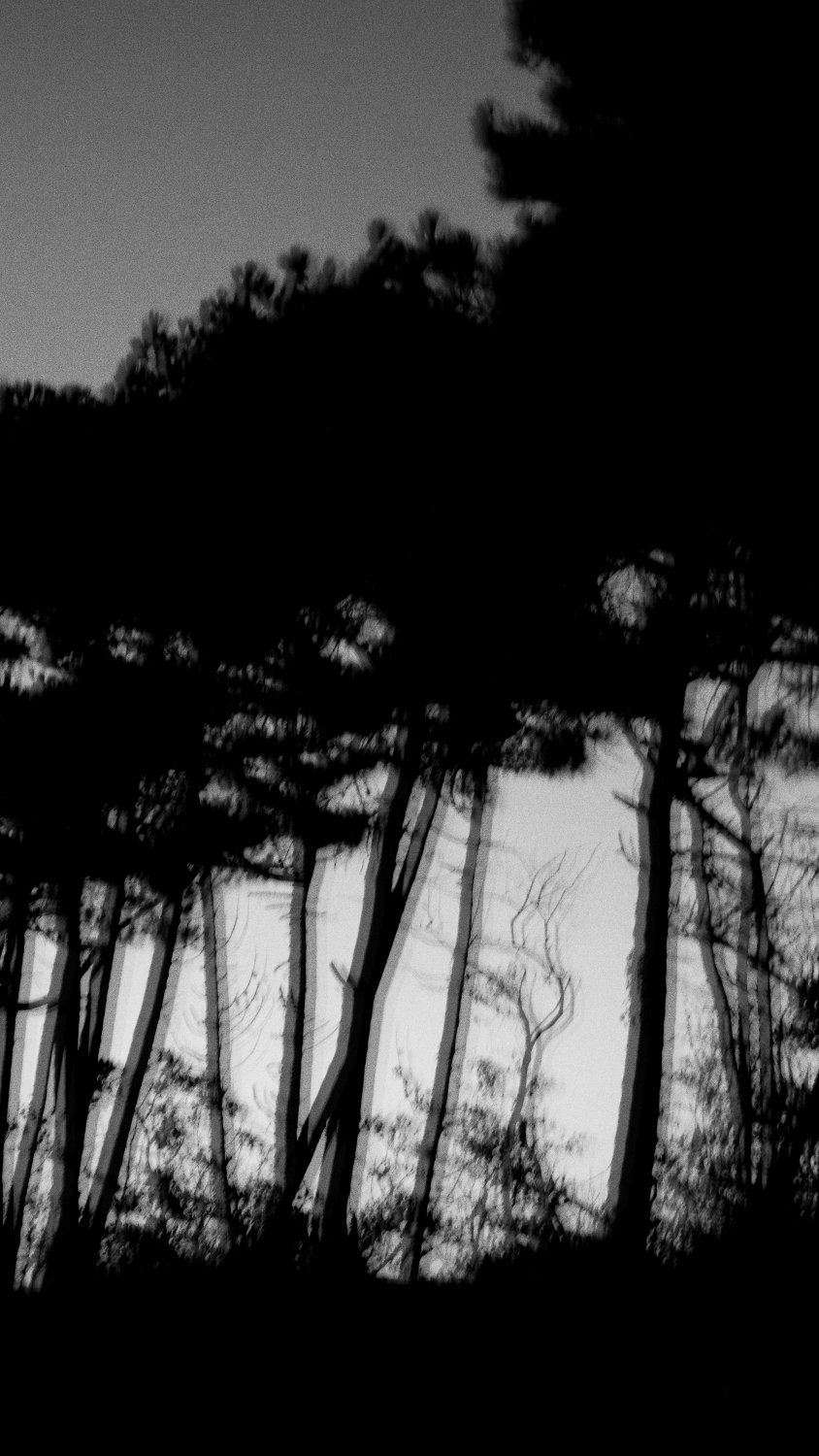 Bewegingsonscherpte door een lage sluitertijd