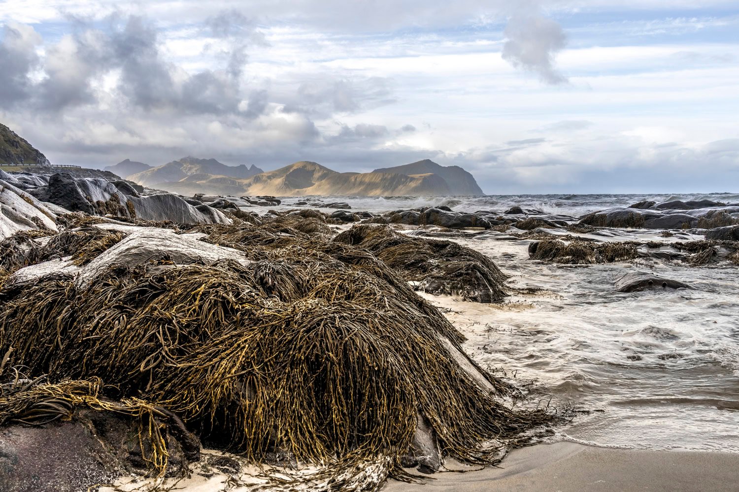 Leer landschapsfotografie in de lofoten