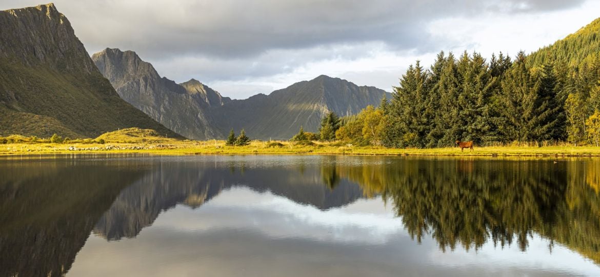 Reisverslag - fotoreis Lofoten, Noorwegen