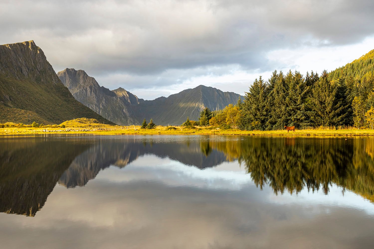 Reisverslag - fotoreis Lofoten, Noorwegen