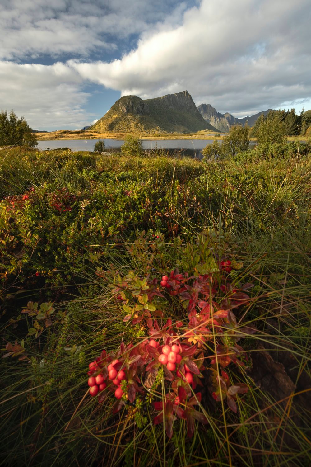 Fotoreis Lofoten - landschapsfotografie