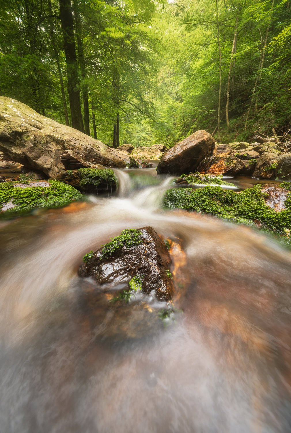 Fotograaf werkt in het veld met lange sluitertijd