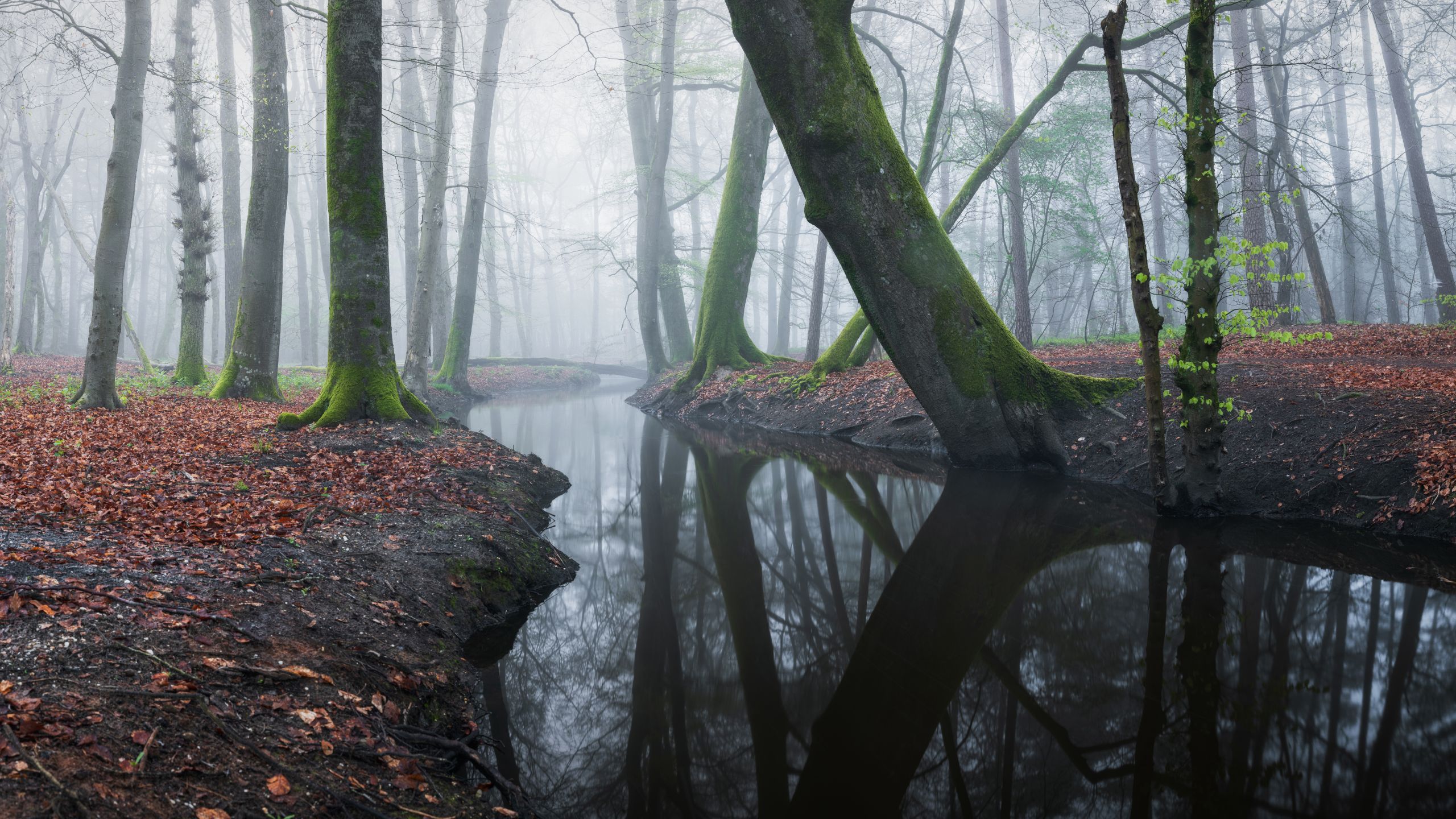 Inspirerende landschapsfoto met lange sluitertijd