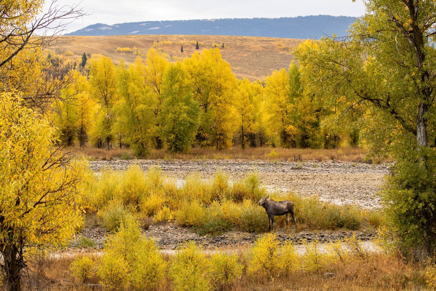 Natuurfotografie reis Verenigde Staten