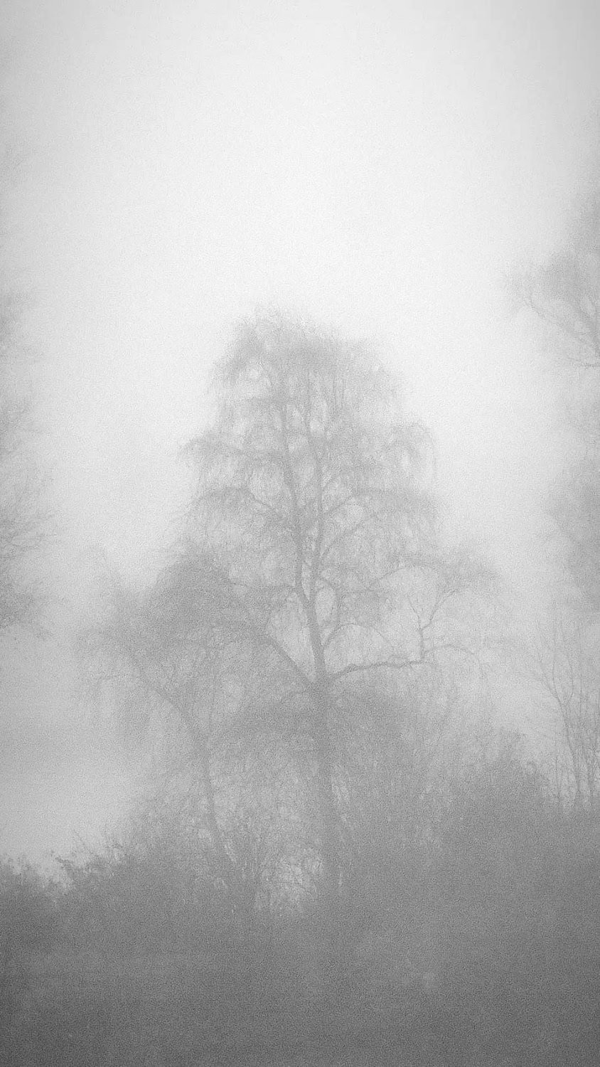 Creatieve foto met bewust gebruikte overbelichting