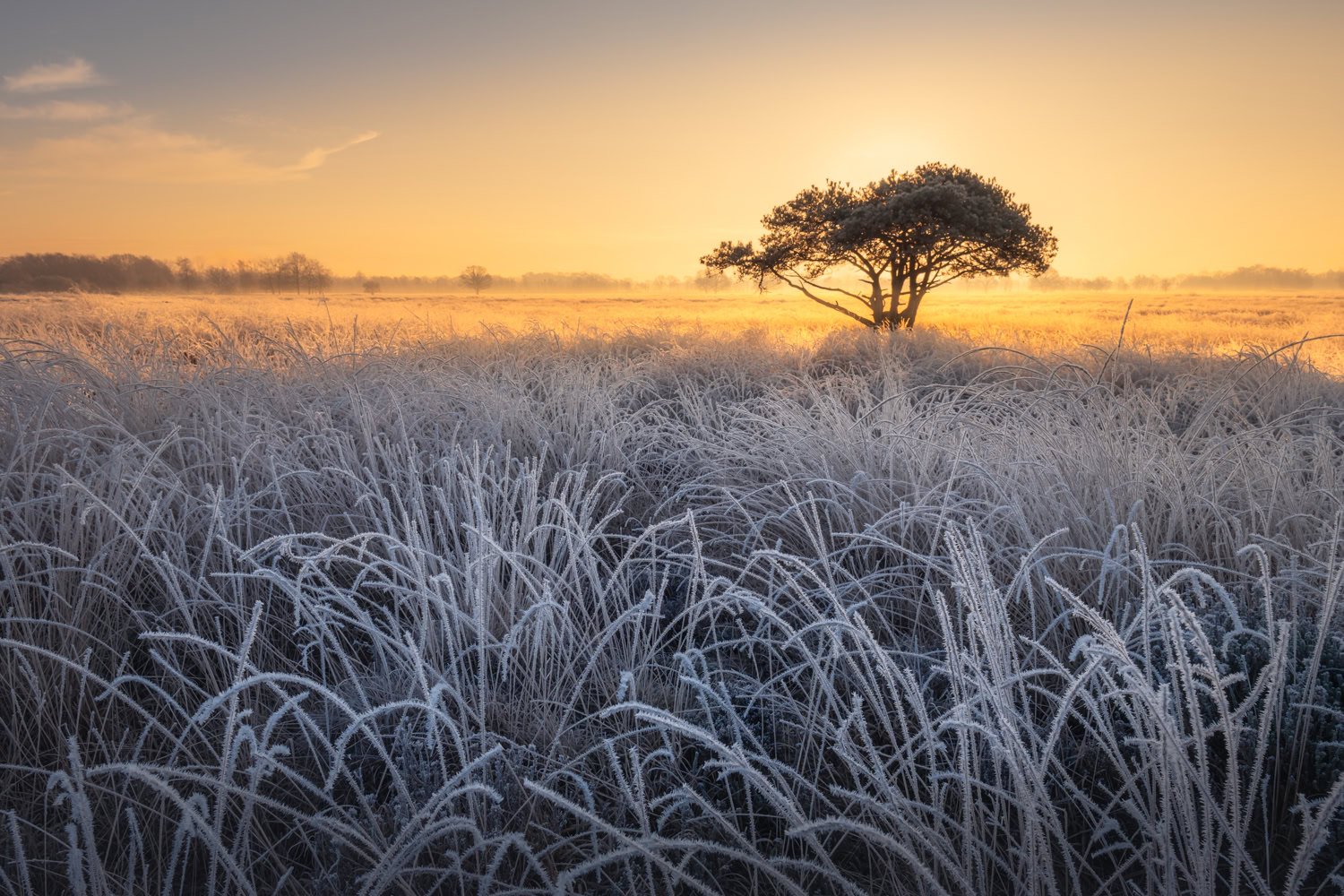 Voorbeeld van een realistische HDR foto zonder overdreven effect