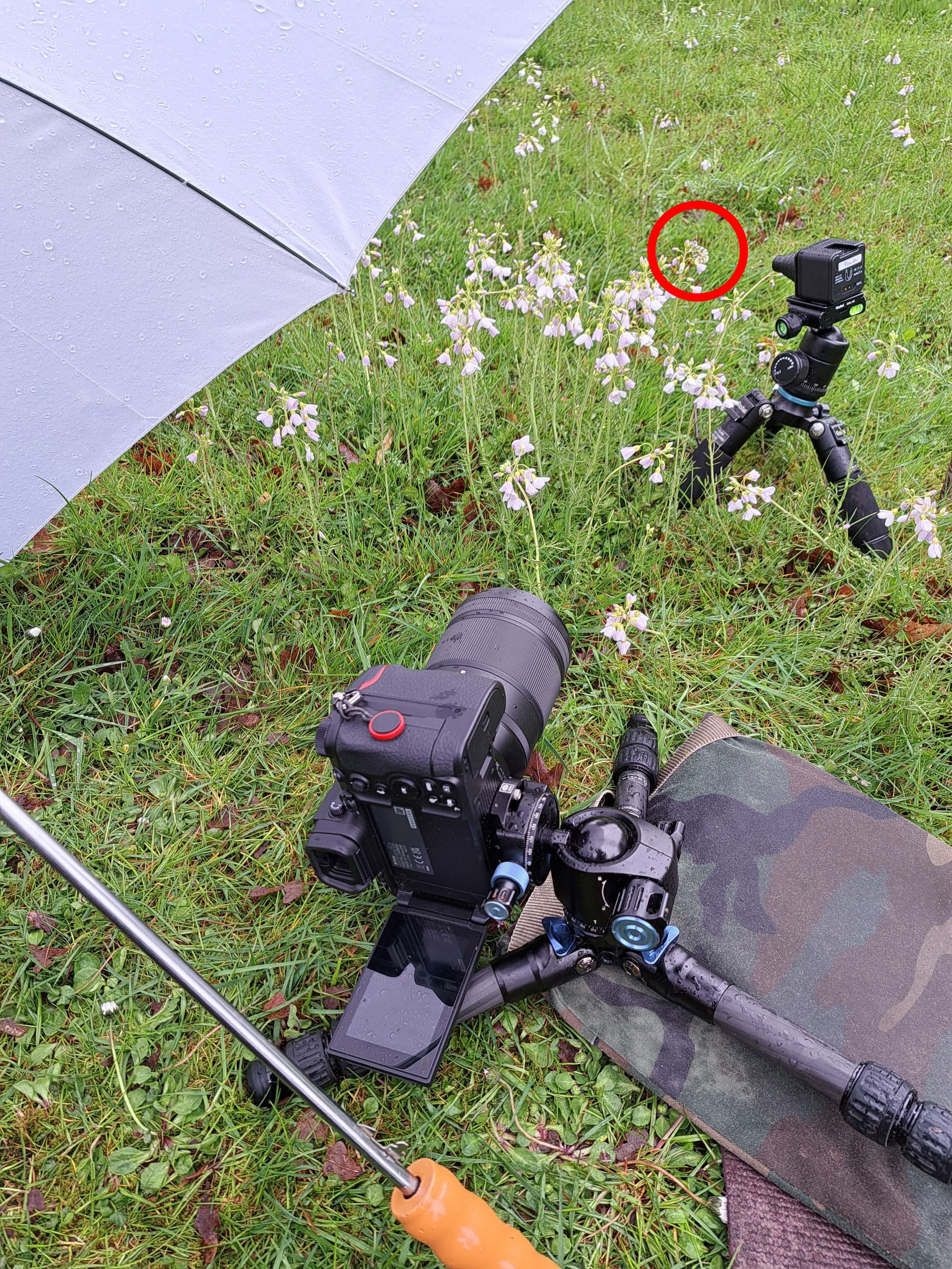 De beste macrofotografie accessoires voor het werken met lastige lichtomstandigheden.