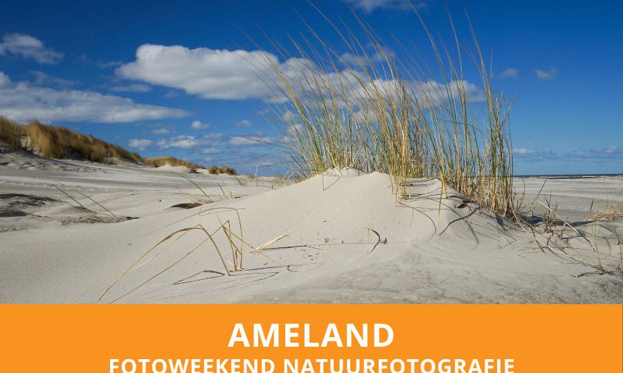 Fotoweekend natuurfotografie Ameland