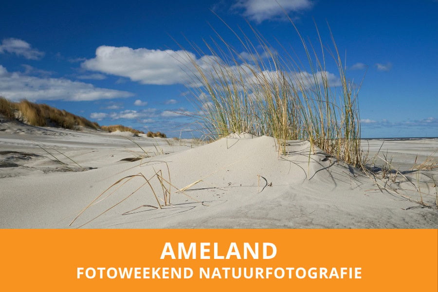 Fotoweekend natuurfotografie Ameland