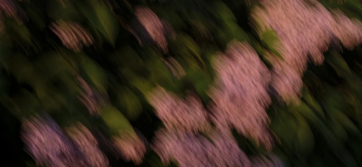 Hoe je inspiratie kan halen uit abstracte schilderkunst voor jouw fotografie