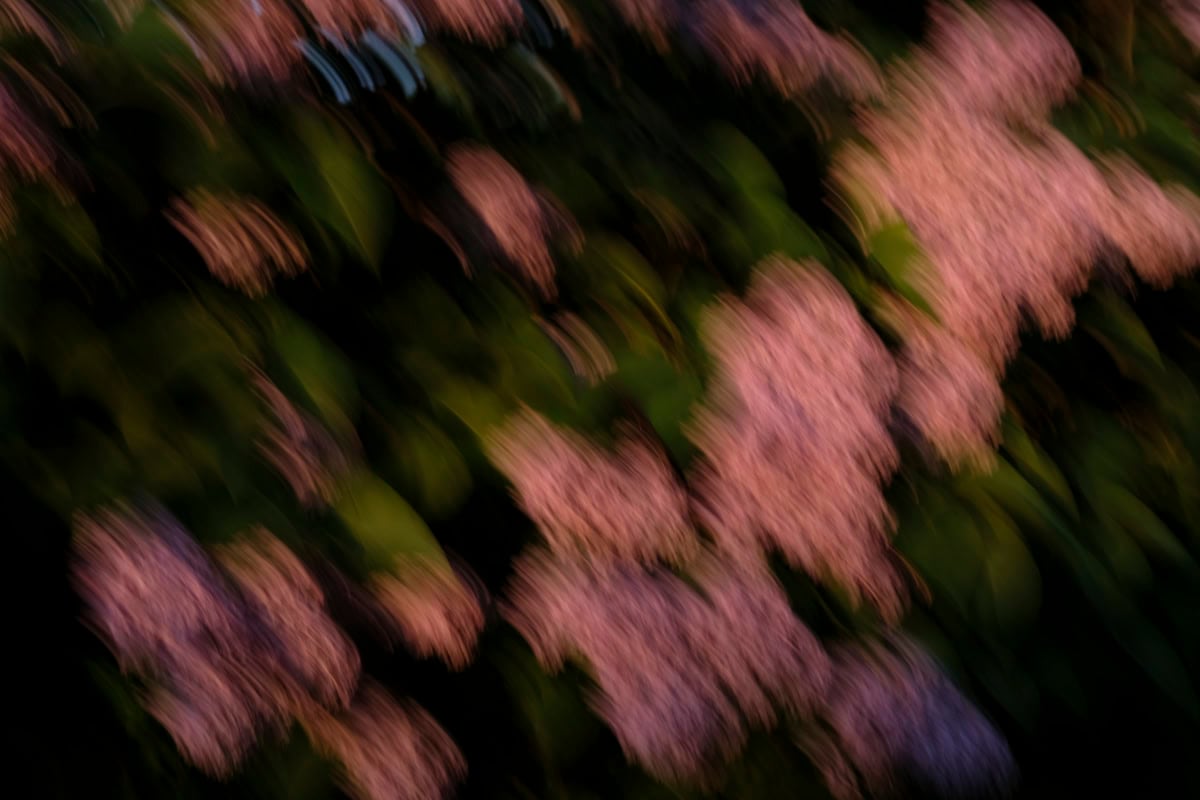 Hoe je inspiratie kan halen uit abstracte schilderkunst voor jouw fotografie