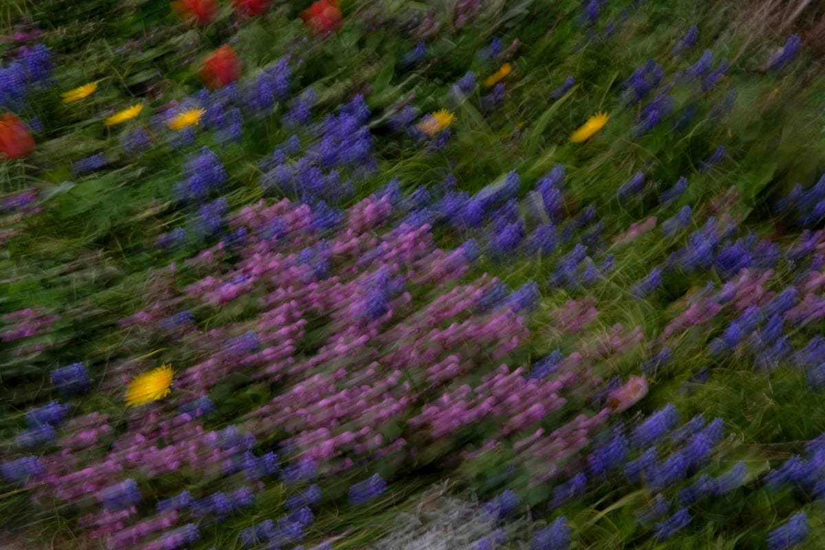 Tips voor het creëren van sfeer en harmonieus kleurgebruik in fotografie op basis van kunsthistorische schilderijen.