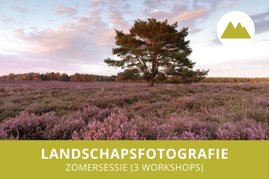 Volg meerdere workshops deze zomer