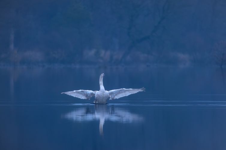 _N0A3108-Editar_2048x1365_U_100_Original ratio