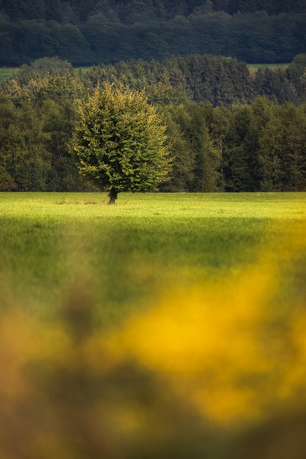 Creatieve technieken om anders te leren kijken naar schaduwen, reflecties en contrasten in het landschap.
