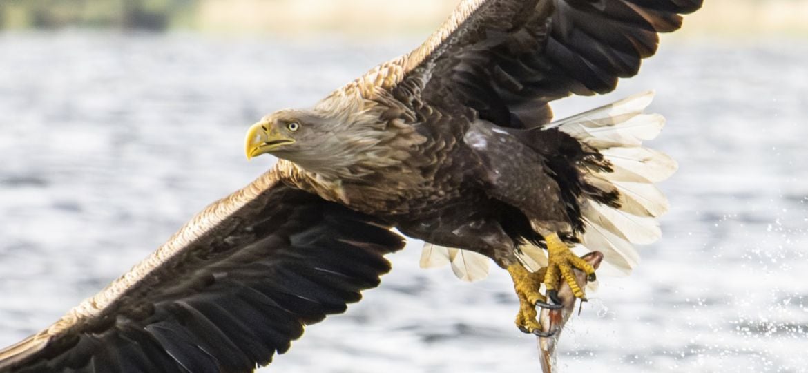 Fotografiereis Oder Delta, Polen