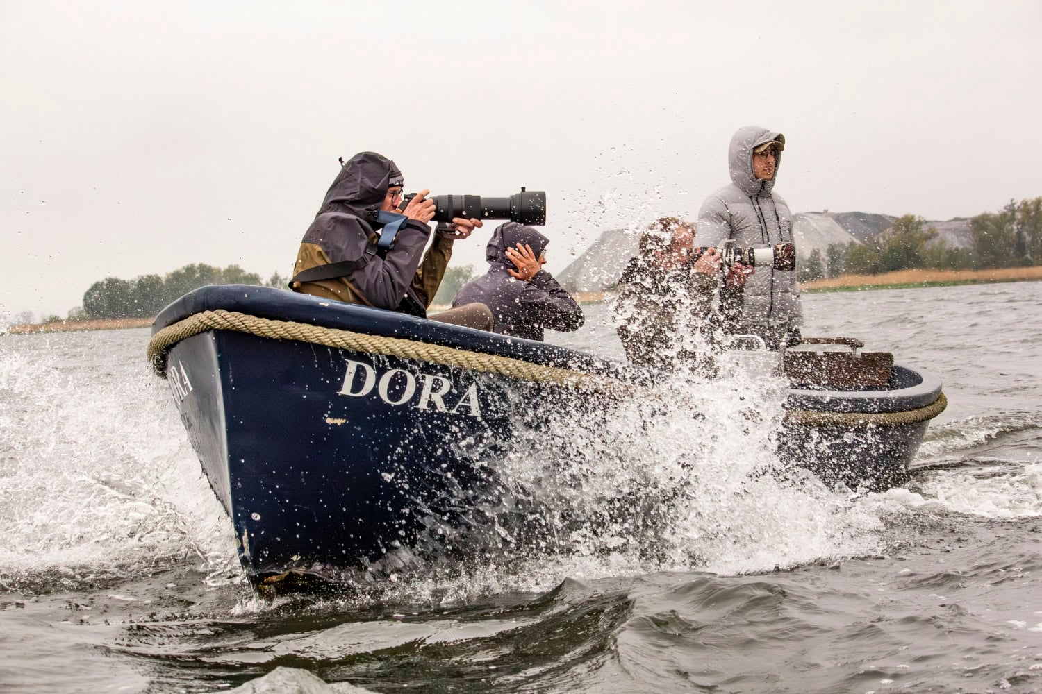 Fotoreis zeearenden fotograferen
