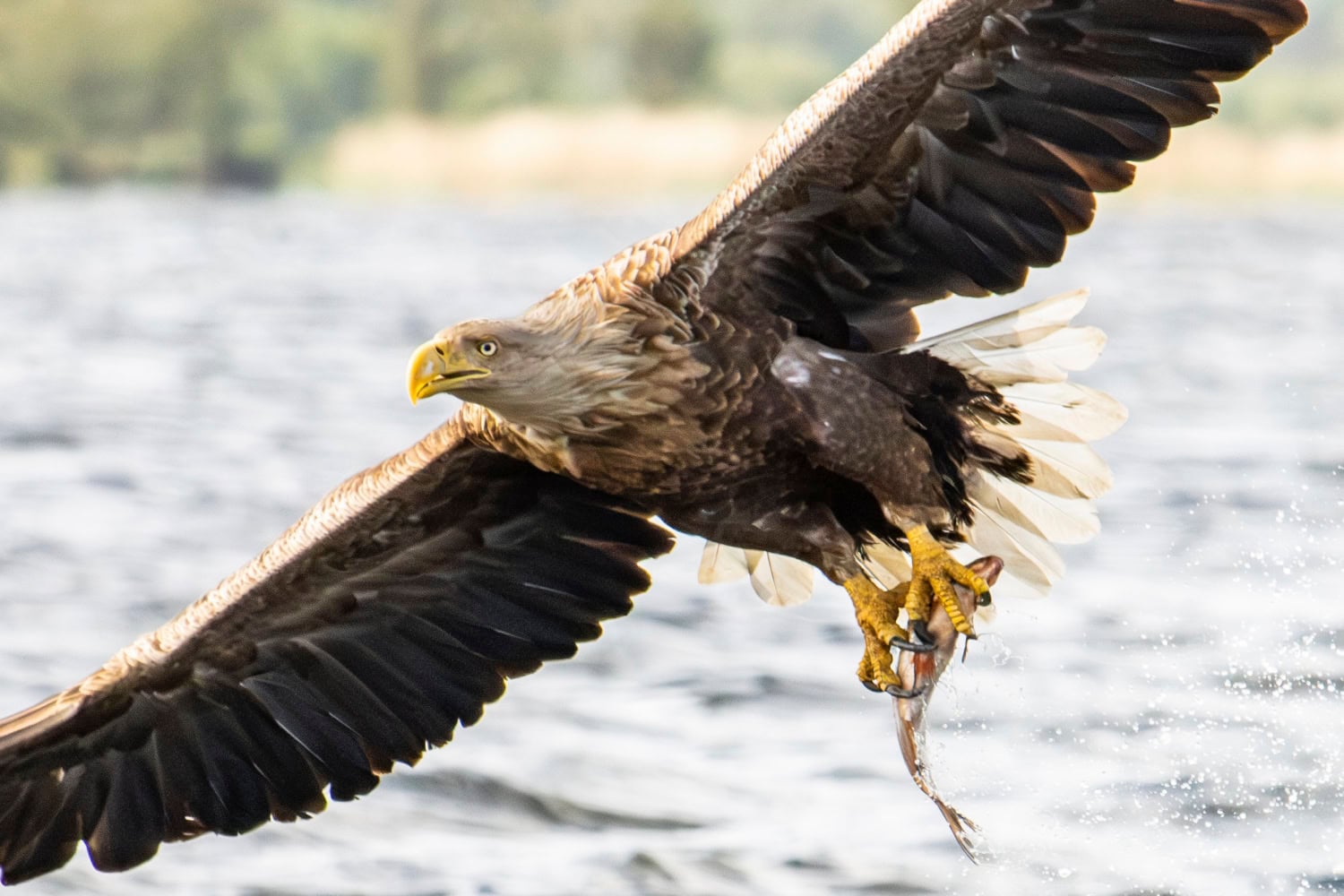 Fotografiereis Oder Delta, Polen