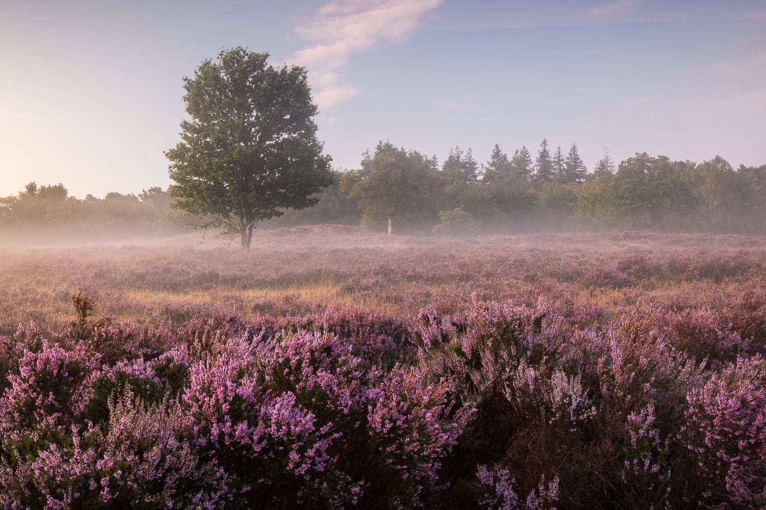Hoe de verandering van natuurlijk licht de sfeer en diepte in een landschapsfoto volledig transformeert.