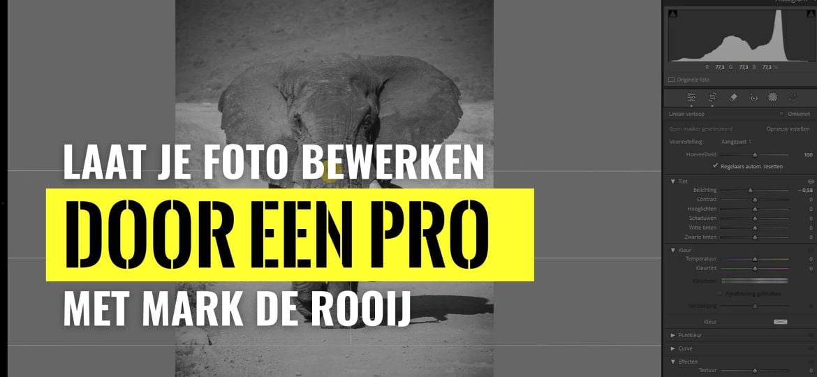 Laat je wildlife foto bewerken door een pro