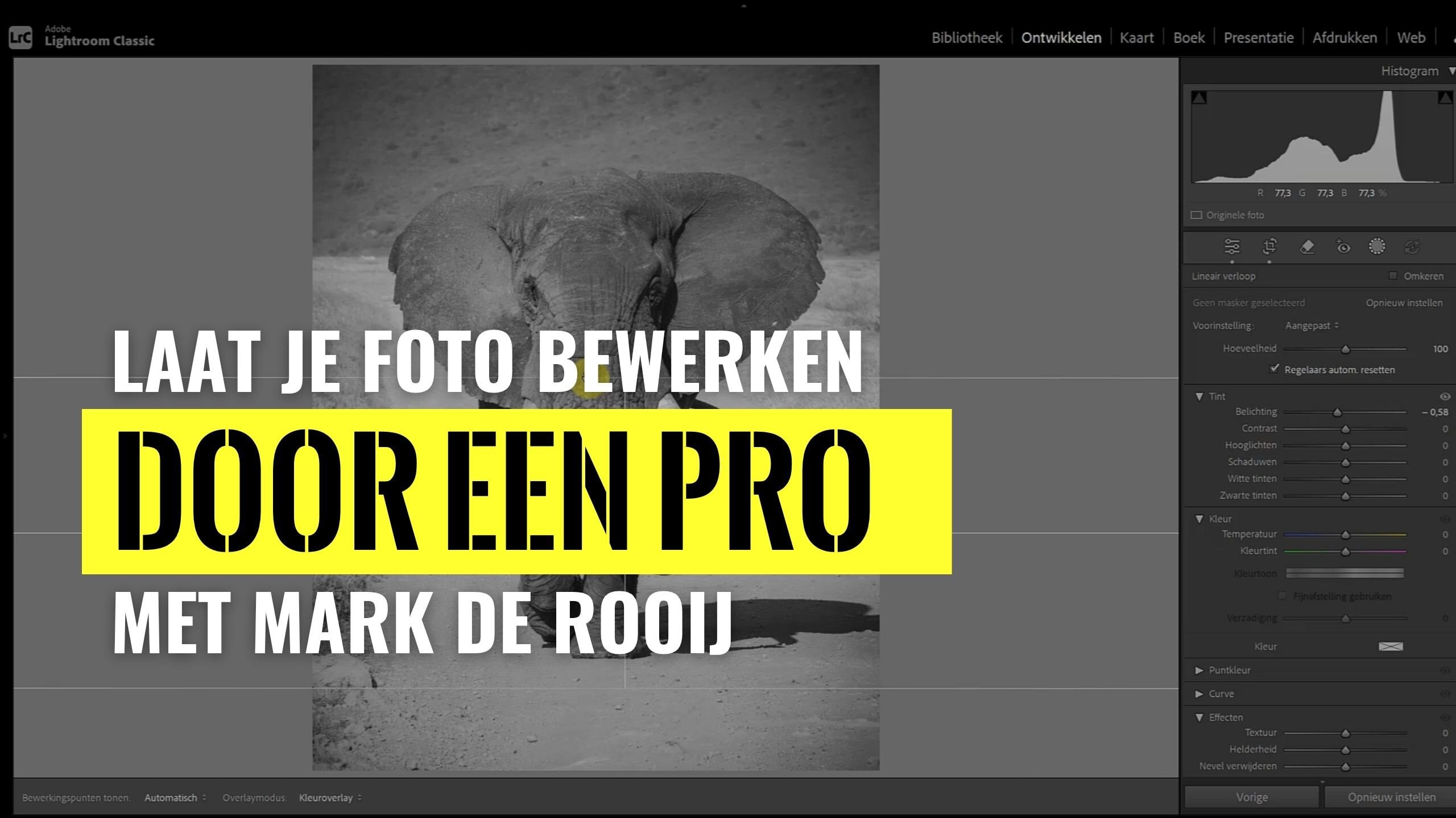 Laat je wildlife foto bewerken door een pro