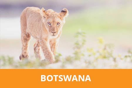 Fotograferen in Botswana Beste fotoreis naar Botswana