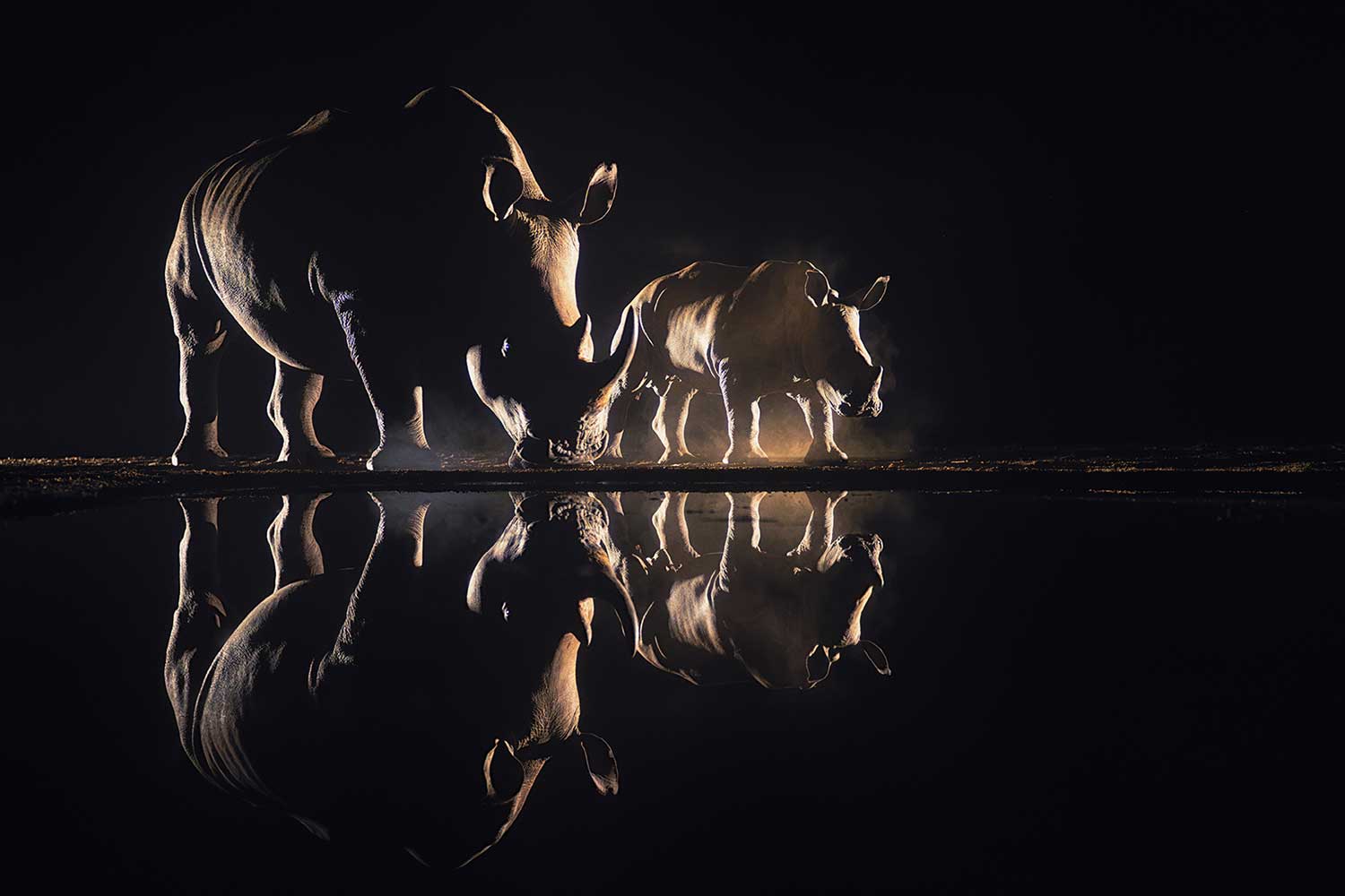 fotografiereis zimanga game reserve neushoorns nacht hide 1