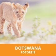 Fotoreis Botswana
