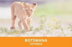 Fotoreis Botswana