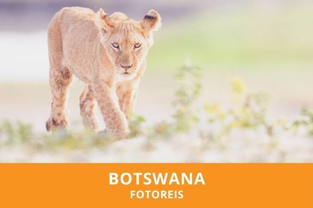 Fotoreis Botswana