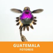 Fotoreis naar Guatemala met Kevin Hernandez