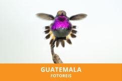 Fotoreis naar Guatemala met Kevin Hernandez