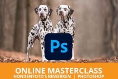 Online masterclass hondenfoto's bewerken