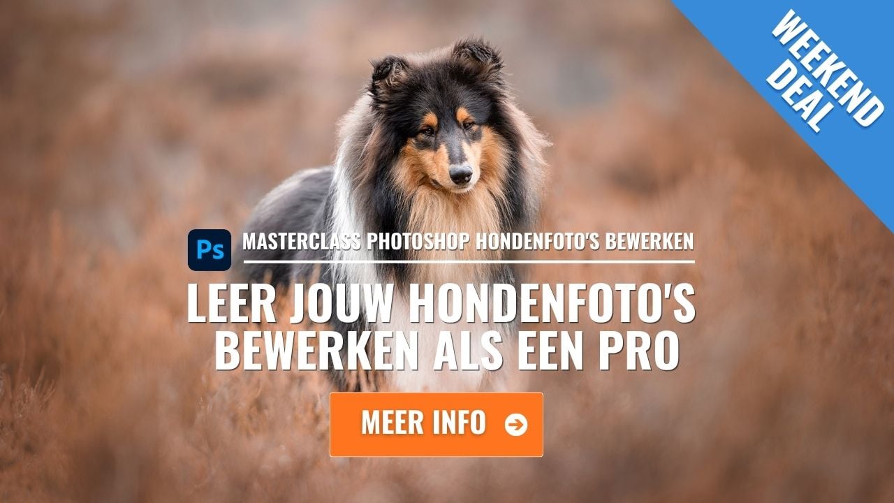 Fotografie Weekend Deal