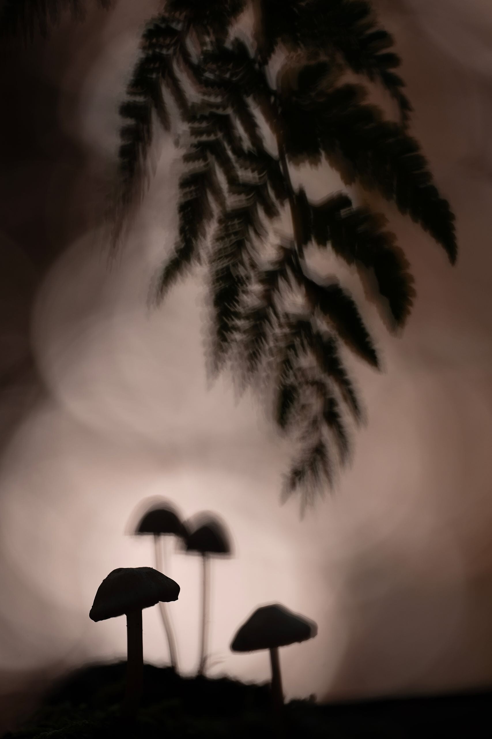 Het belang van een vrijstaande paddenstoel met een duidelijke vorm voor een herkenbaar silhouet.
