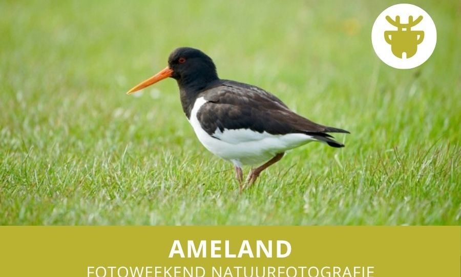 in de natuur