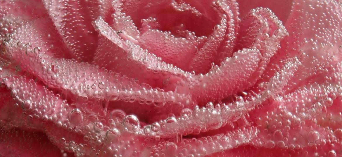 Creatieve macrofotografie onder water