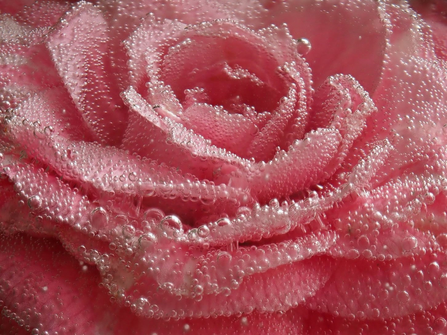 Creatieve macrofotografie onder water